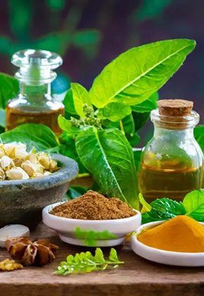 Saatviki Wellness