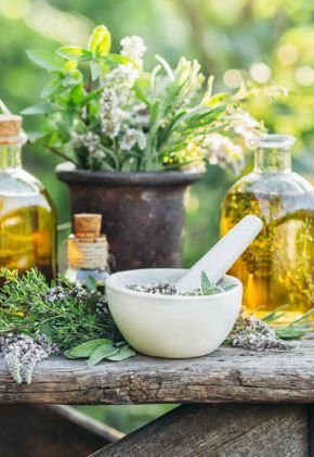 Wellness services