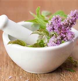 Cough Syrup @herbs
